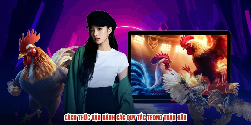 Các ưu điểm của sảnh đá gà tại BET168