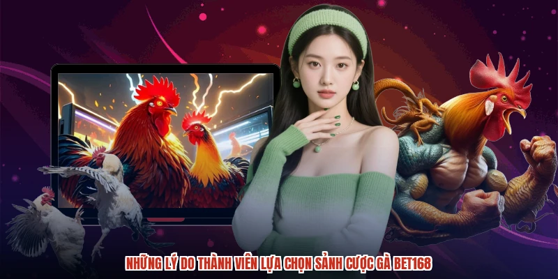 Những lý do thành viên lựa chọn sảnh cược gà BET168