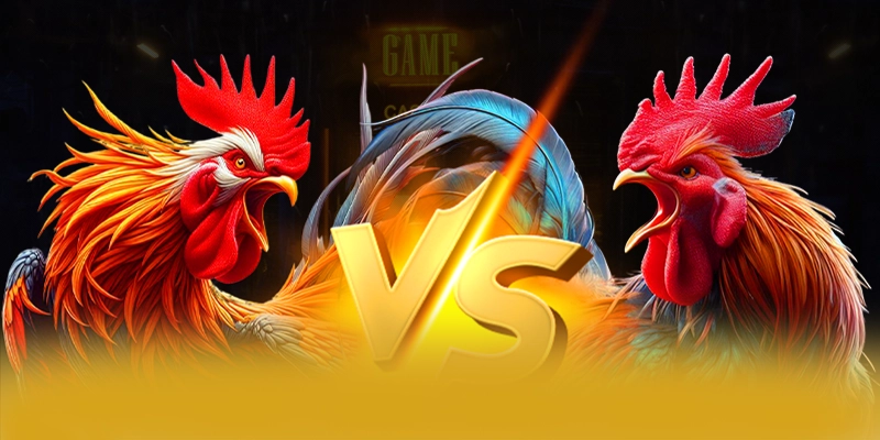 Tìm hiểu BET168 - Cổng cá cược uy tín số 1 trên thị trường