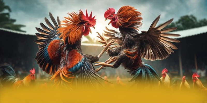 Điểm khác biệt của 8XBET trên thị trường