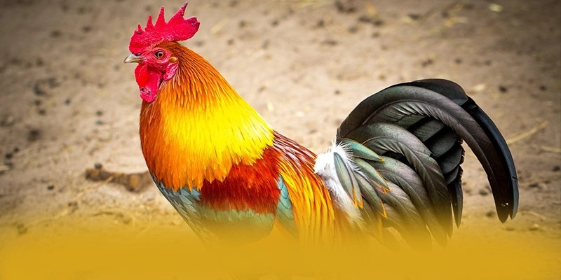 Hệ thống nạp rút tiền nhanh chóng và an toàn tại BET168
