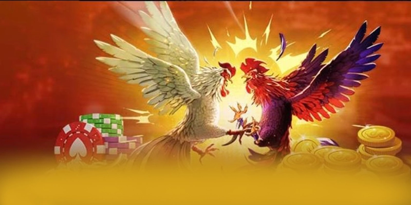 8XBET - Cổng giải trí cung cấp hàng trăm tựa game đẳng cấp 2026